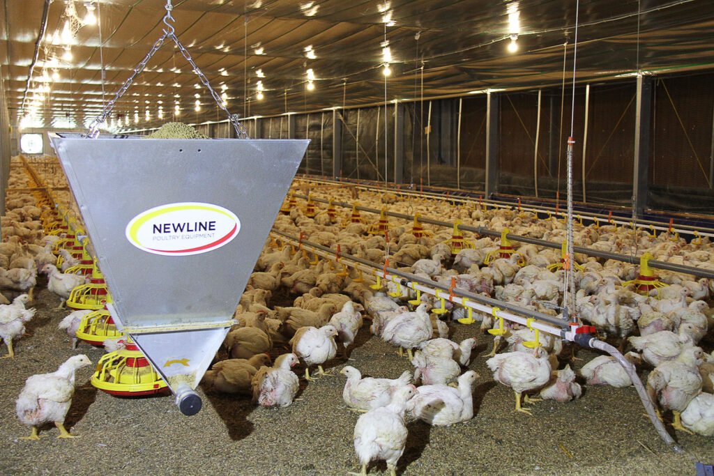 Peralatan Peternakan Ayam